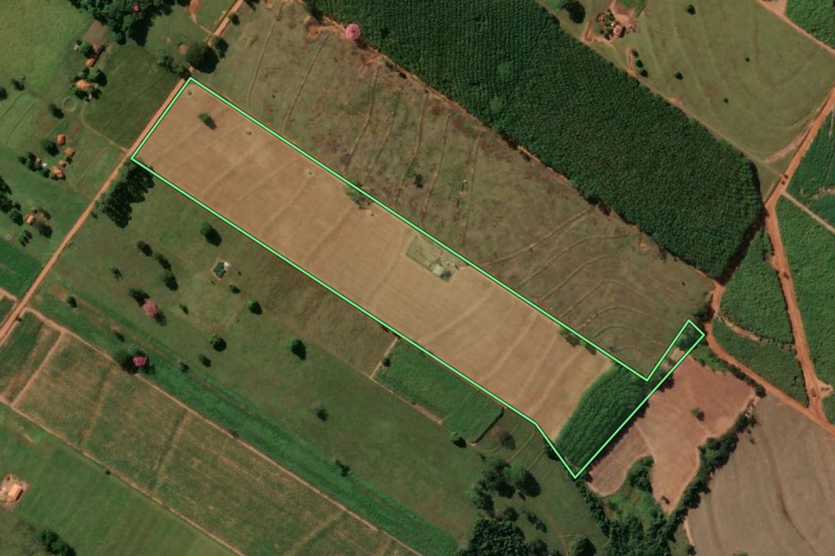 Imagem de satélite do imóvel rural em Macaubal (SP), com o contorno declarado no CAR desenhado por cima.