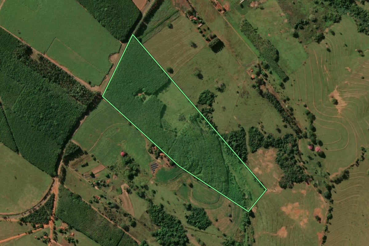Imagem de satélite do imóvel rural em Macaubal (SP), com o contorno declarado no CAR desenhado por cima.