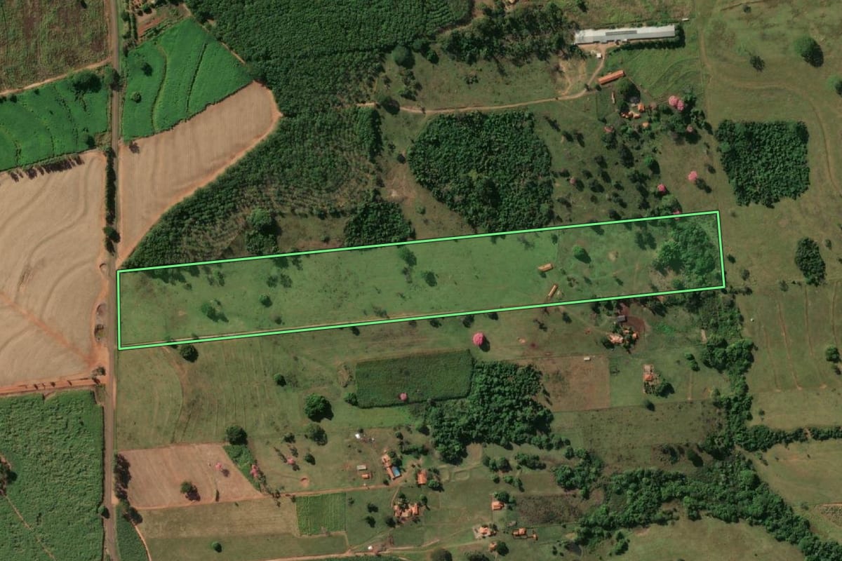 Imagem de satélite do imóvel rural em Macaubal (SP), com o contorno declarado no CAR desenhado por cima.