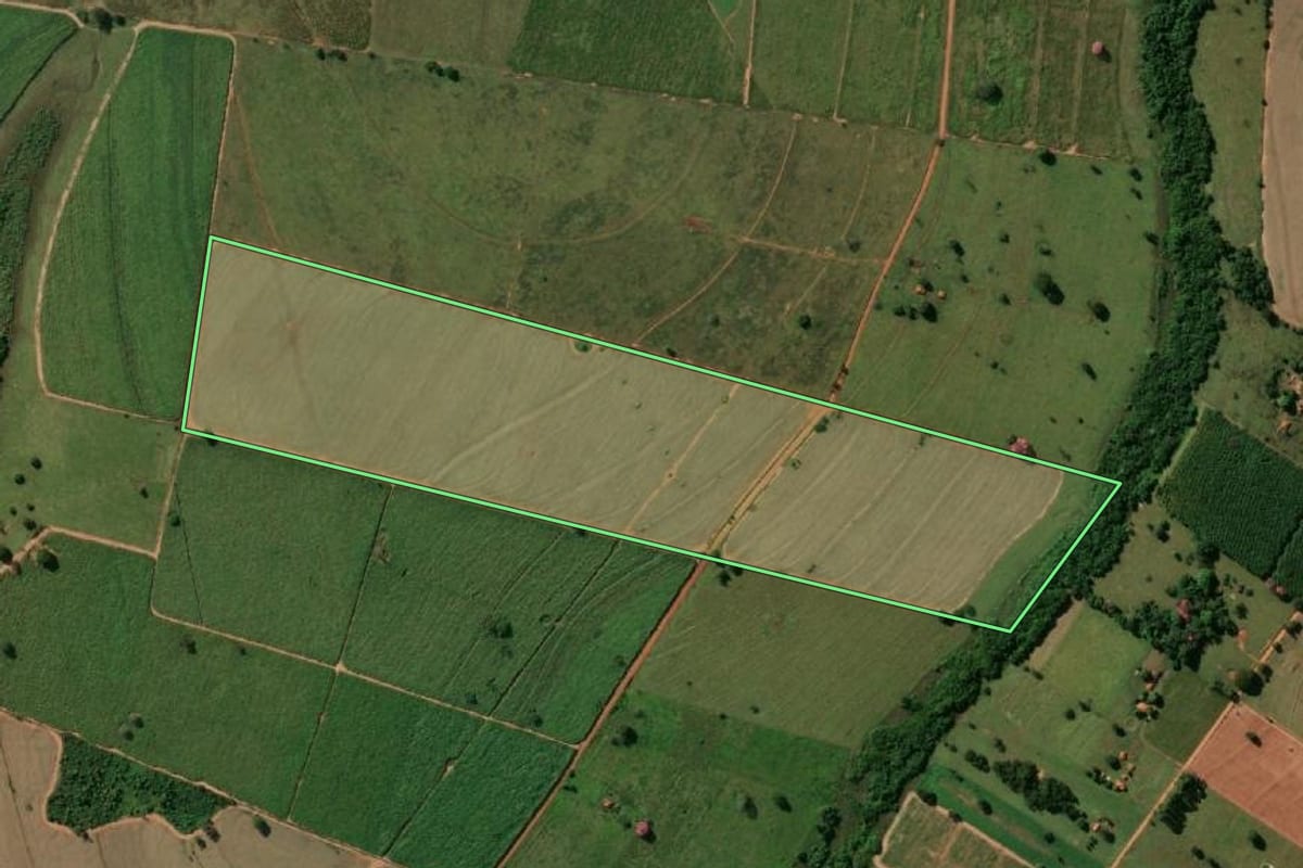 Imagem de satélite do imóvel rural em Macaubal (SP), com o contorno declarado no CAR desenhado por cima.
