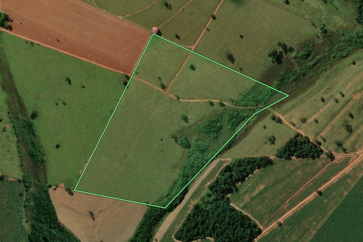 Imagem de satélite do imóvel rural em Macaubal (SP), com o contorno declarado no CAR desenhado por cima.