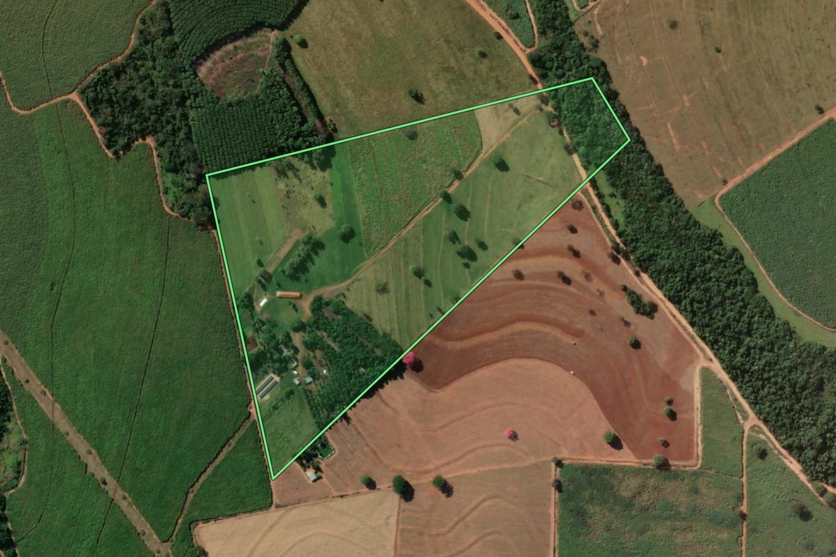 Imagem de satélite do imóvel rural em Macaubal (SP), com o contorno declarado no CAR desenhado por cima.
