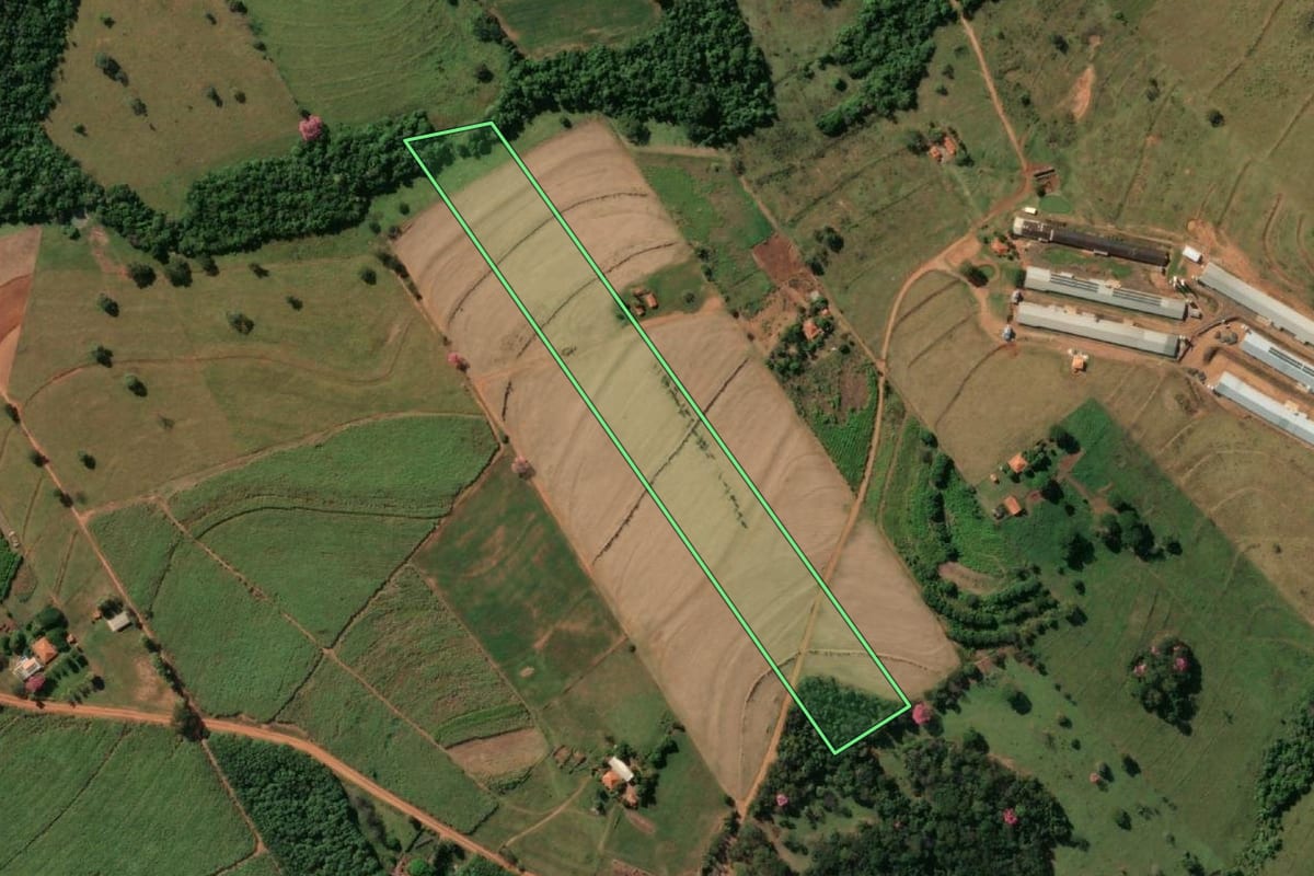 Imagem de satélite do imóvel rural em Macaubal (SP), com o contorno declarado no CAR desenhado por cima.