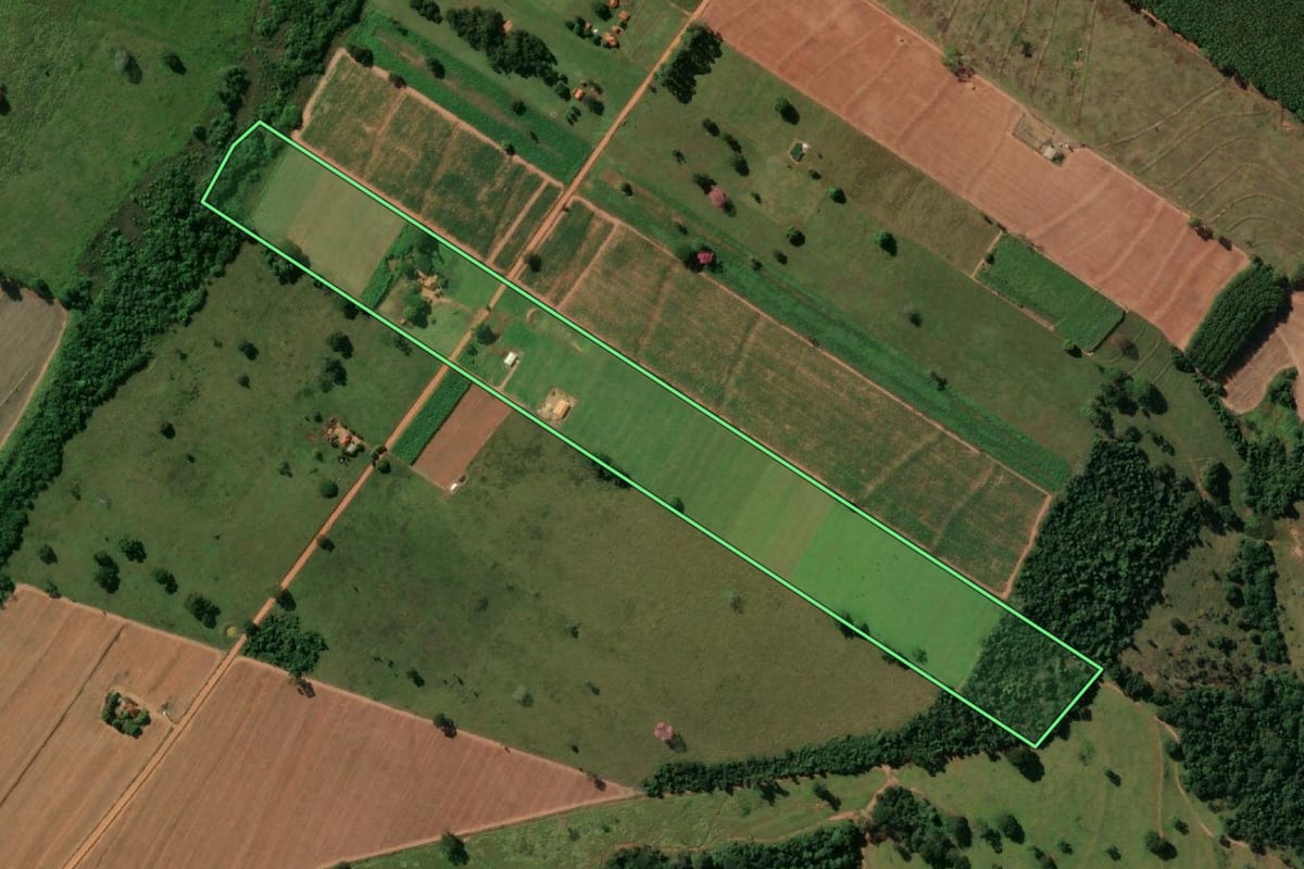 Imagem de satélite do imóvel rural em Macaubal (SP), com o contorno declarado no CAR desenhado por cima.