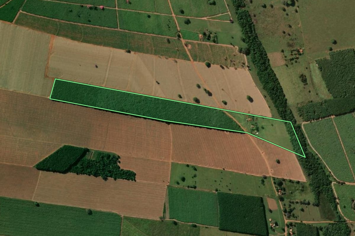 Imagem de satélite do imóvel rural em Macaubal (SP), com o contorno declarado no CAR desenhado por cima.