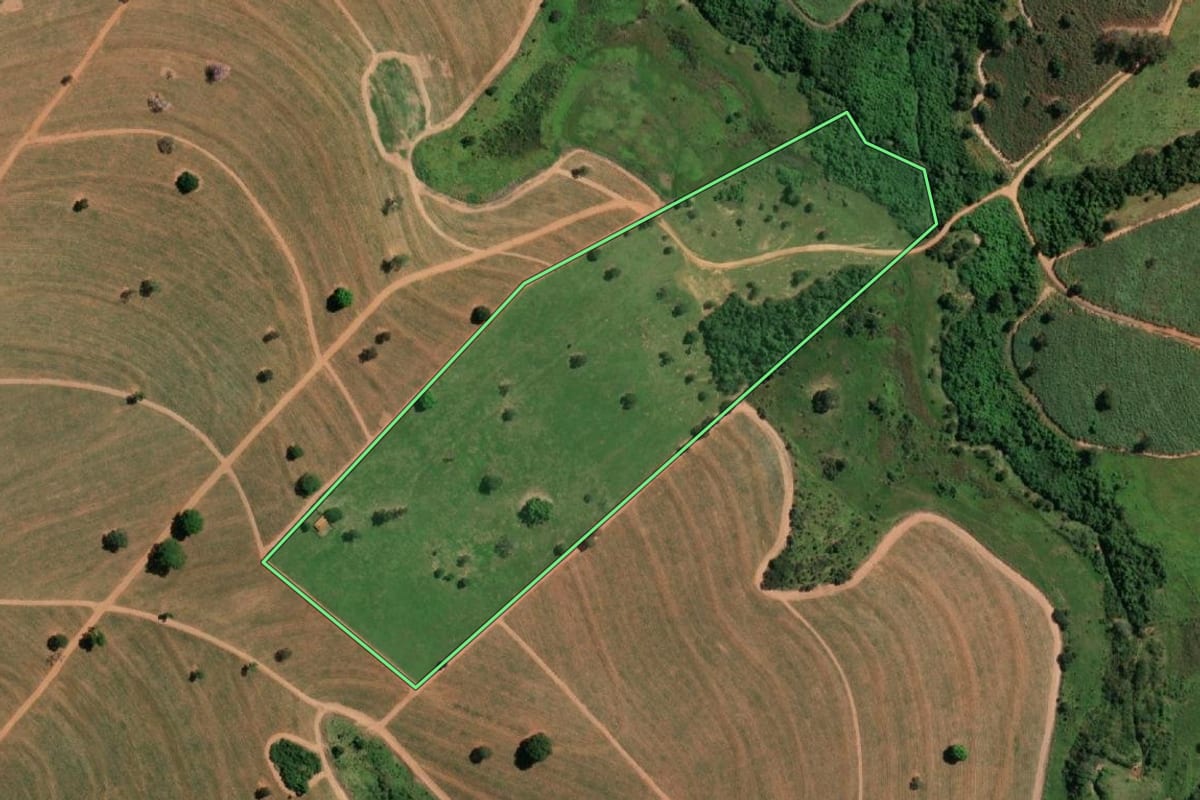 Imagem de satélite do imóvel rural em Macaubal (SP), com o contorno declarado no CAR desenhado por cima.