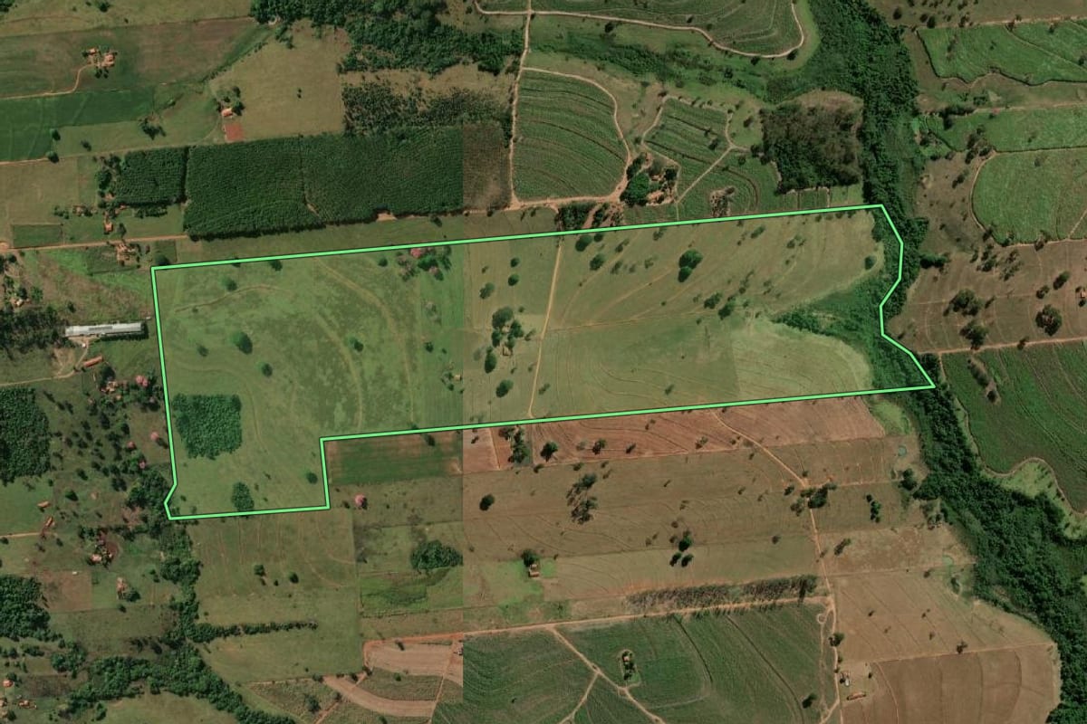 Imagem de satélite do imóvel rural em Macaubal (SP), com o contorno declarado no CAR desenhado por cima.