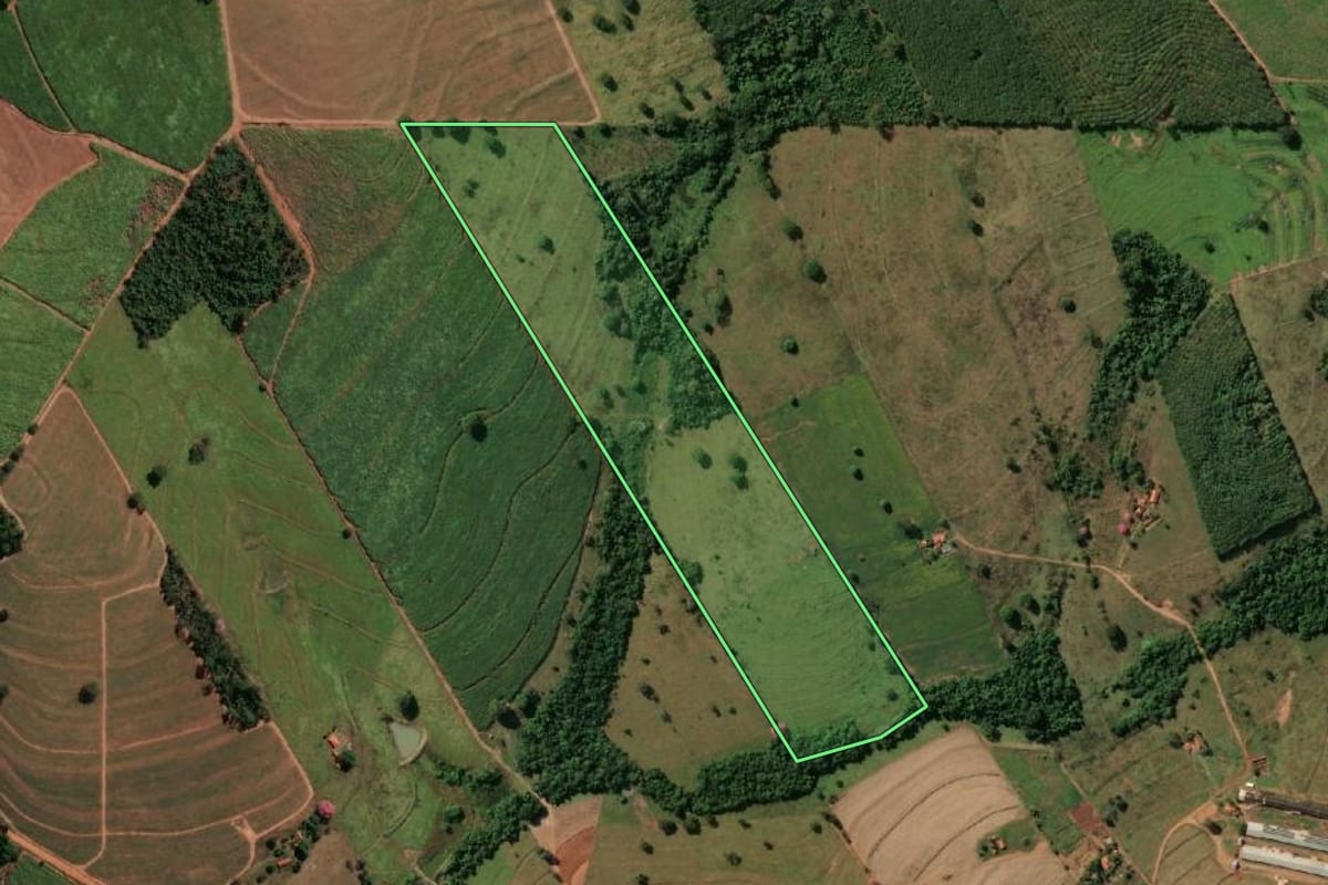 Imagem de satélite do imóvel rural em Macaubal (SP), com o contorno declarado no CAR desenhado por cima.