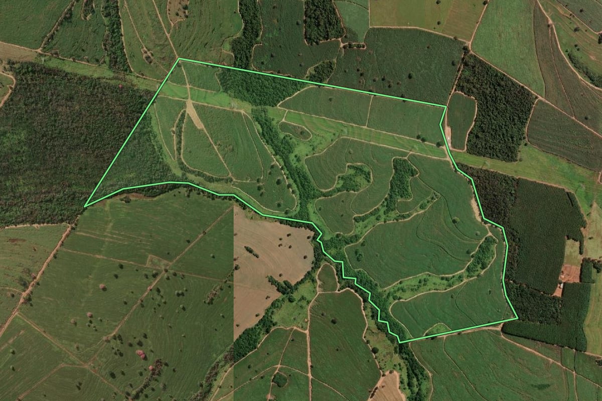 Imagem de satélite do imóvel rural em Macaubal (SP), com o contorno declarado no CAR desenhado por cima.