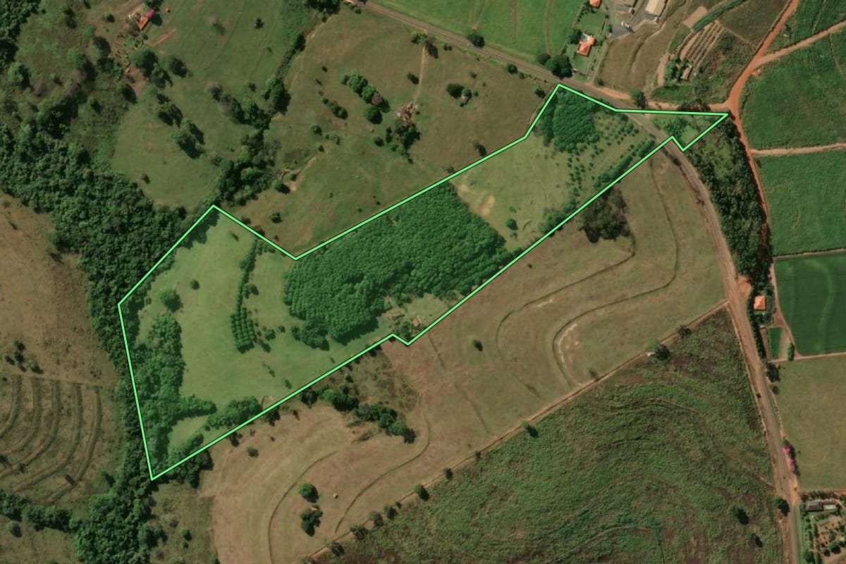 Imagem de satélite do imóvel rural em Macaubal (SP), com o contorno declarado no CAR desenhado por cima.
