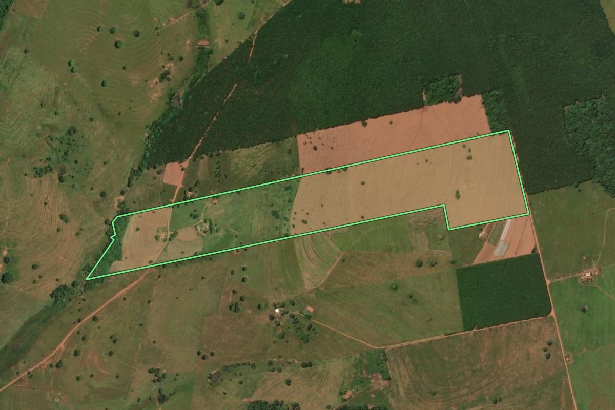Imagem de satélite do imóvel rural em Macedônia (SP), com o contorno declarado no CAR desenhado por cima.