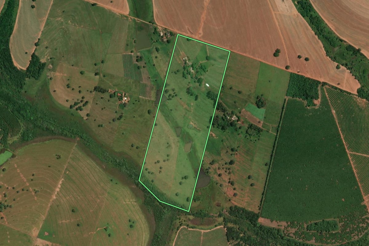Imagem de satélite do imóvel rural em Macedônia (SP), com o contorno declarado no CAR desenhado por cima.