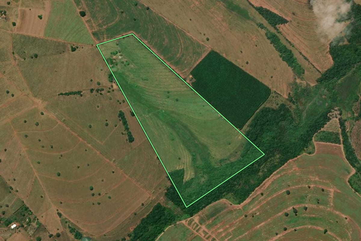 Imagem de satélite do imóvel rural em Macedônia (SP), com o contorno declarado no CAR desenhado por cima.