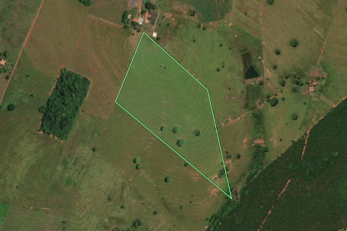 Imagem de satélite do imóvel rural em Macedônia (SP), com o contorno declarado no CAR desenhado por cima.