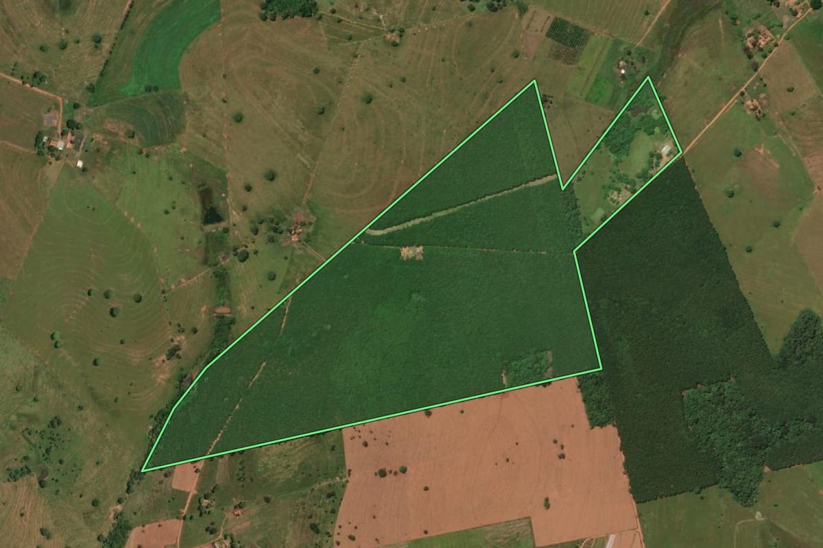 Imagem de satélite do imóvel rural em Macedônia (SP), com o contorno declarado no CAR desenhado por cima.