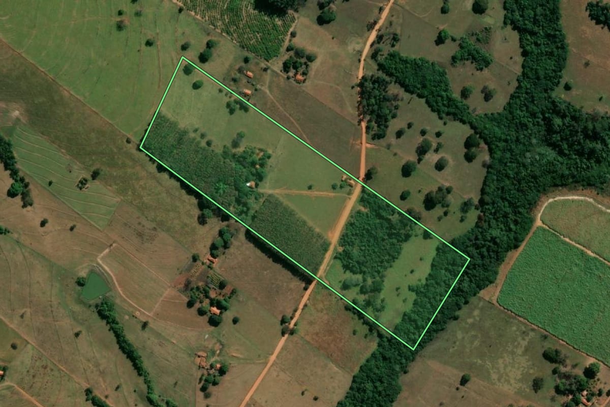 Imagem de satélite do imóvel rural em Magda (SP), com o contorno declarado no CAR desenhado por cima.