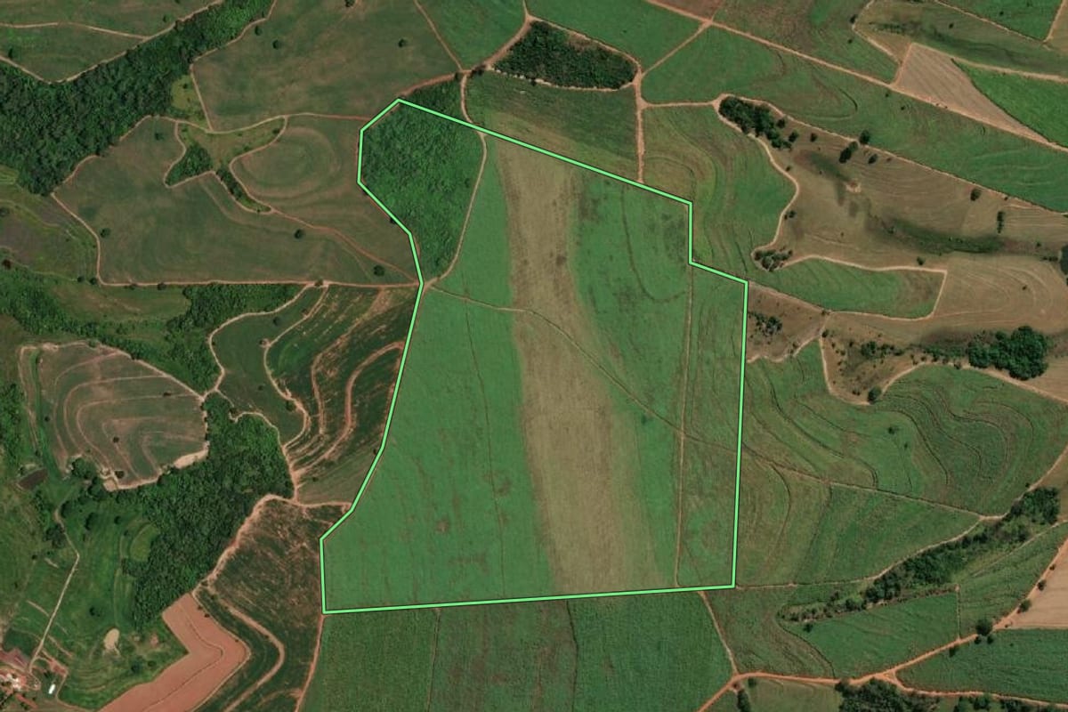 Imagem de satélite do imóvel rural em Magda (SP), com o contorno declarado no CAR desenhado por cima.
