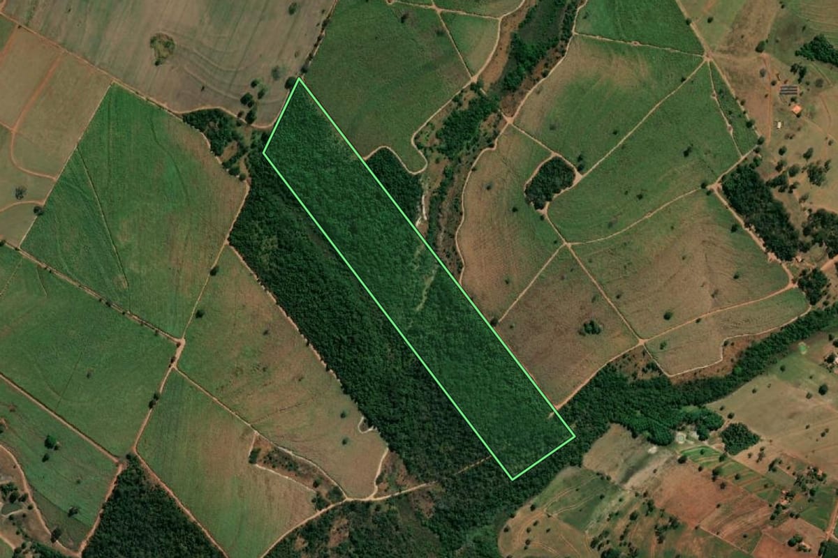 Imagem de satélite do imóvel rural em Magda (SP), com o contorno declarado no CAR desenhado por cima.