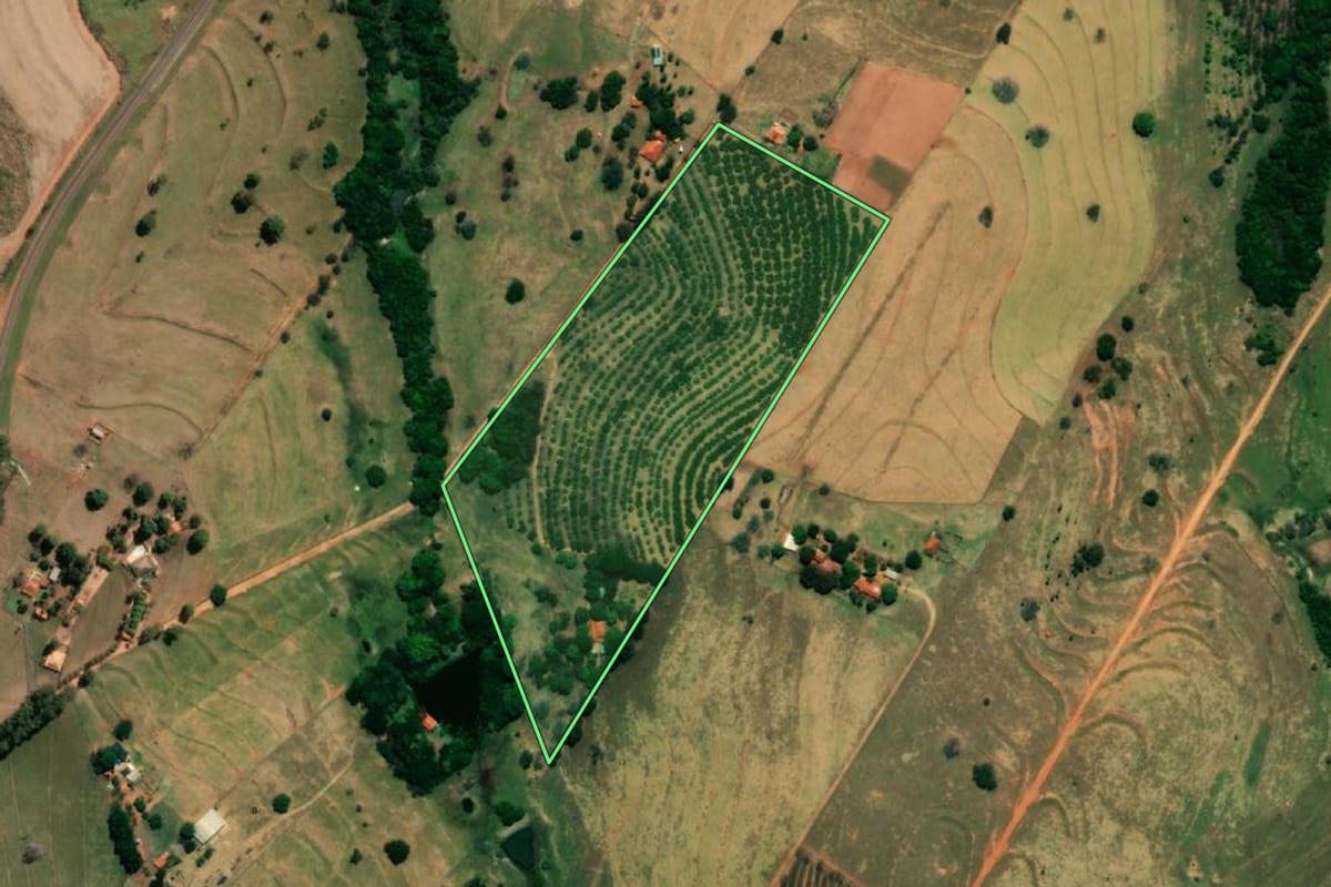 Imagem de satélite do imóvel rural em Magda (SP), com o contorno declarado no CAR desenhado por cima.