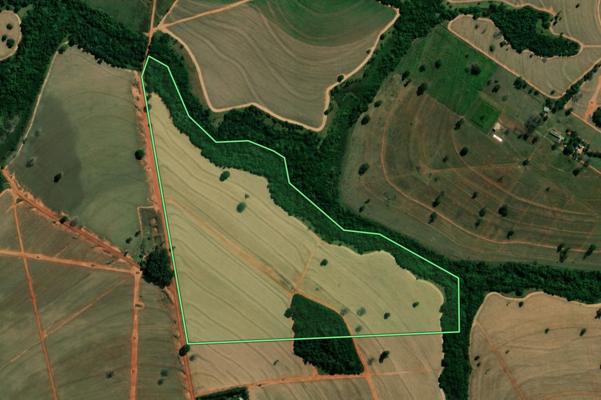 Imagem de satélite do imóvel rural em Magda (SP), com o contorno declarado no CAR desenhado por cima.