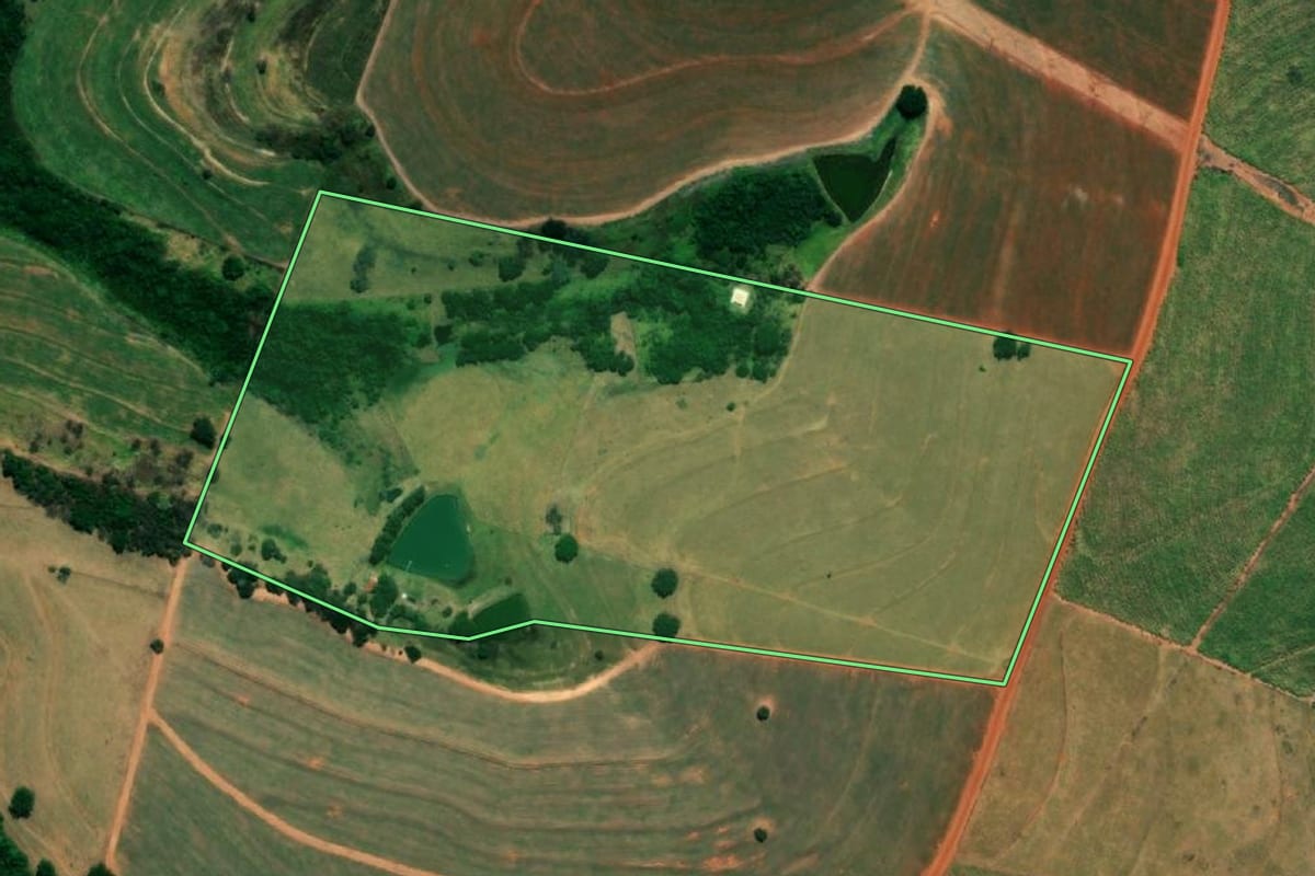 Imagem de satélite do imóvel rural em Magda (SP), com o contorno declarado no CAR desenhado por cima.