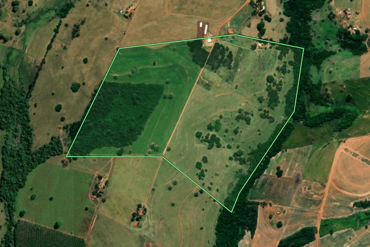 Imagem de satélite do imóvel rural em Magda (SP), com o contorno declarado no CAR desenhado por cima.