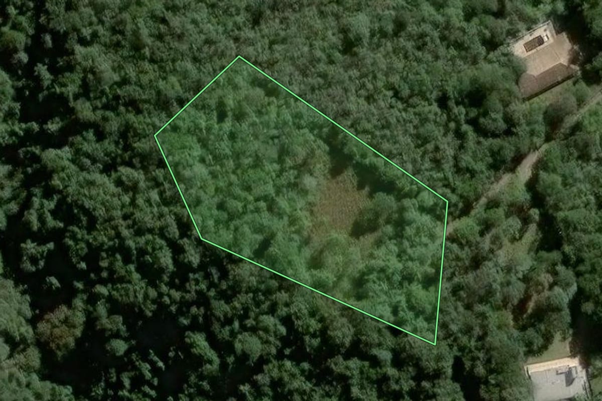 Imagem de satélite do imóvel rural em Mairiporã (SP), com o contorno declarado no CAR desenhado por cima.