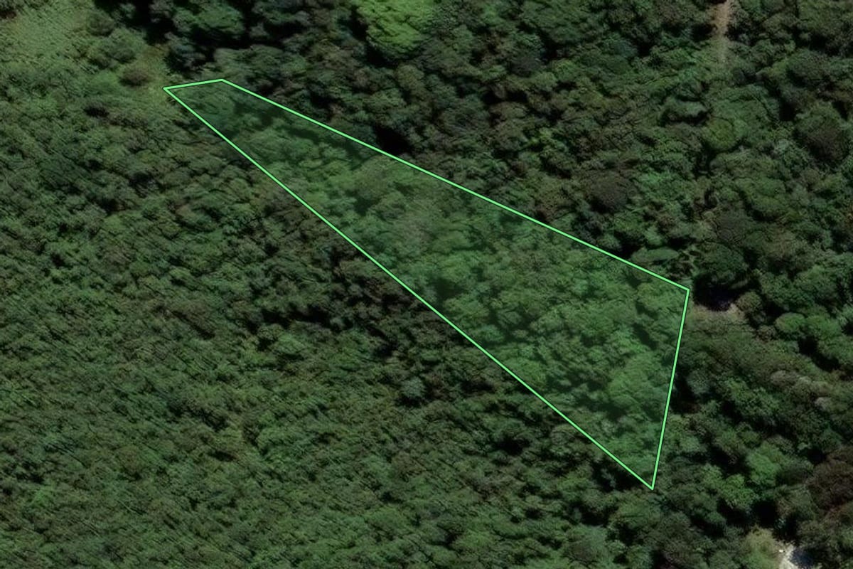 Imagem de satélite do imóvel rural em Mairiporã (SP), com o contorno declarado no CAR desenhado por cima.