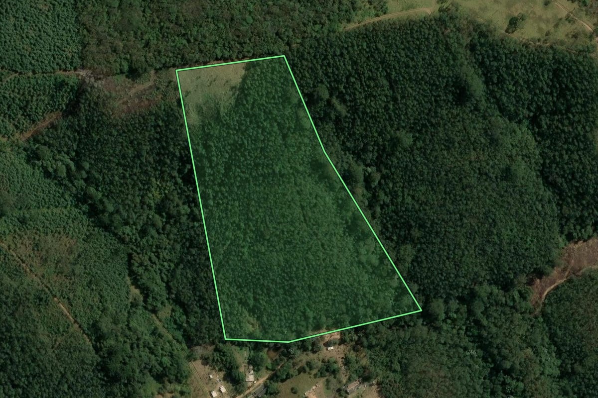 Imagem de satélite do imóvel rural em Mairiporã (SP), com o contorno declarado no CAR desenhado por cima.