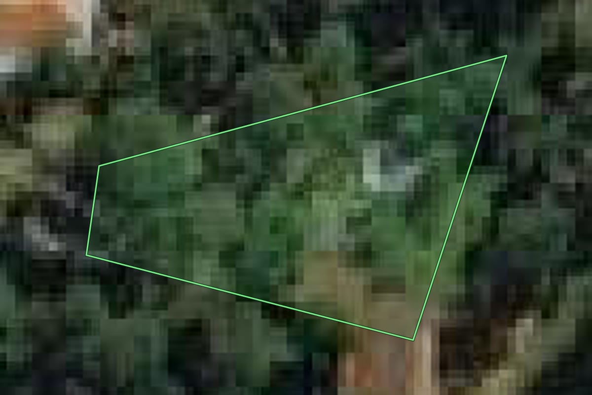 Imagem de satélite do imóvel rural em Mairiporã (SP), com o contorno declarado no CAR desenhado por cima.