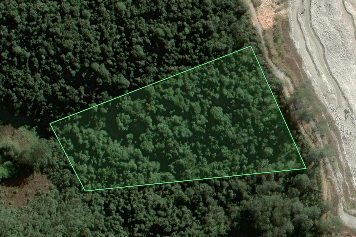 Imagem de satélite do imóvel rural em Mairiporã (SP), com o contorno declarado no CAR desenhado por cima.