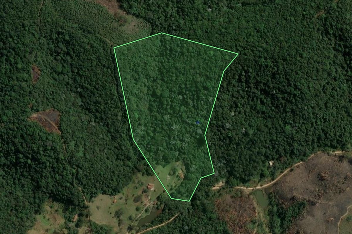 Imagem de satélite do imóvel rural em Mairiporã (SP), com o contorno declarado no CAR desenhado por cima.