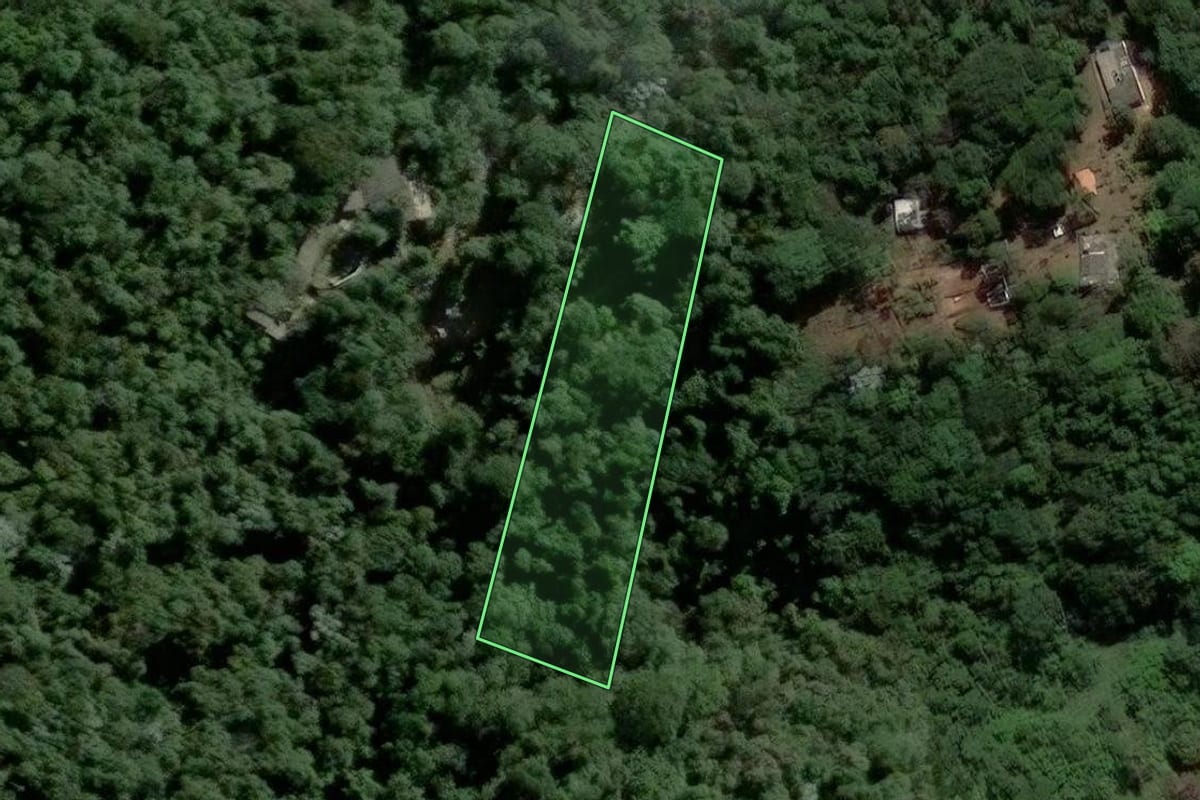 Imagem de satélite do imóvel rural em Mairiporã (SP), com o contorno declarado no CAR desenhado por cima.