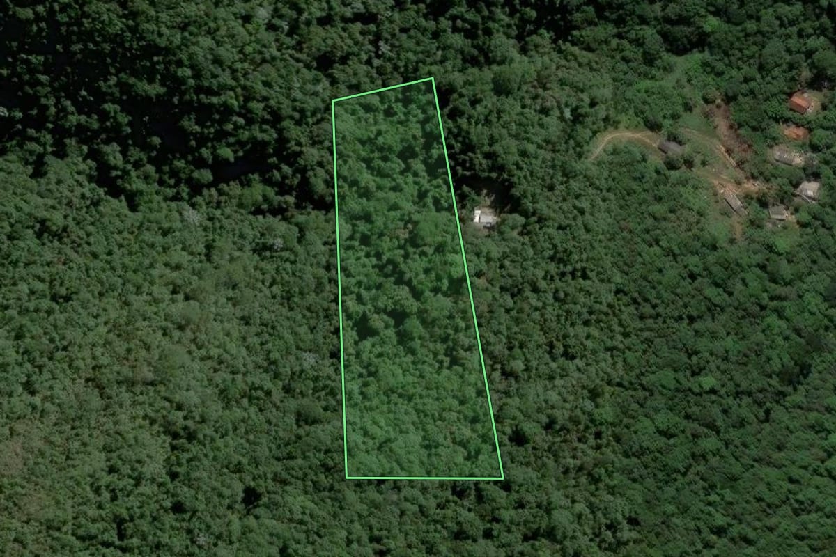 Imagem de satélite do imóvel rural em Mairiporã (SP), com o contorno declarado no CAR desenhado por cima.
