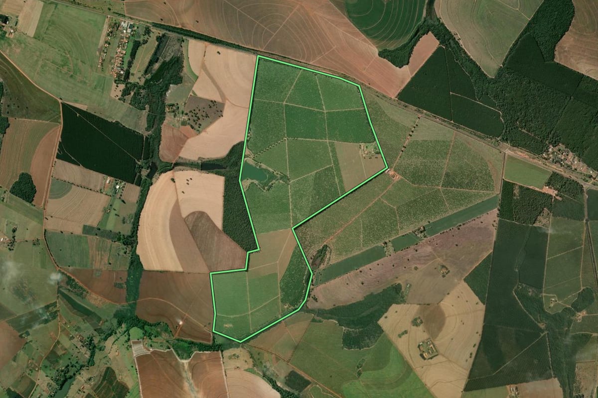 Imagem de satélite do imóvel rural em Manduri (SP), com o contorno declarado no CAR desenhado por cima.