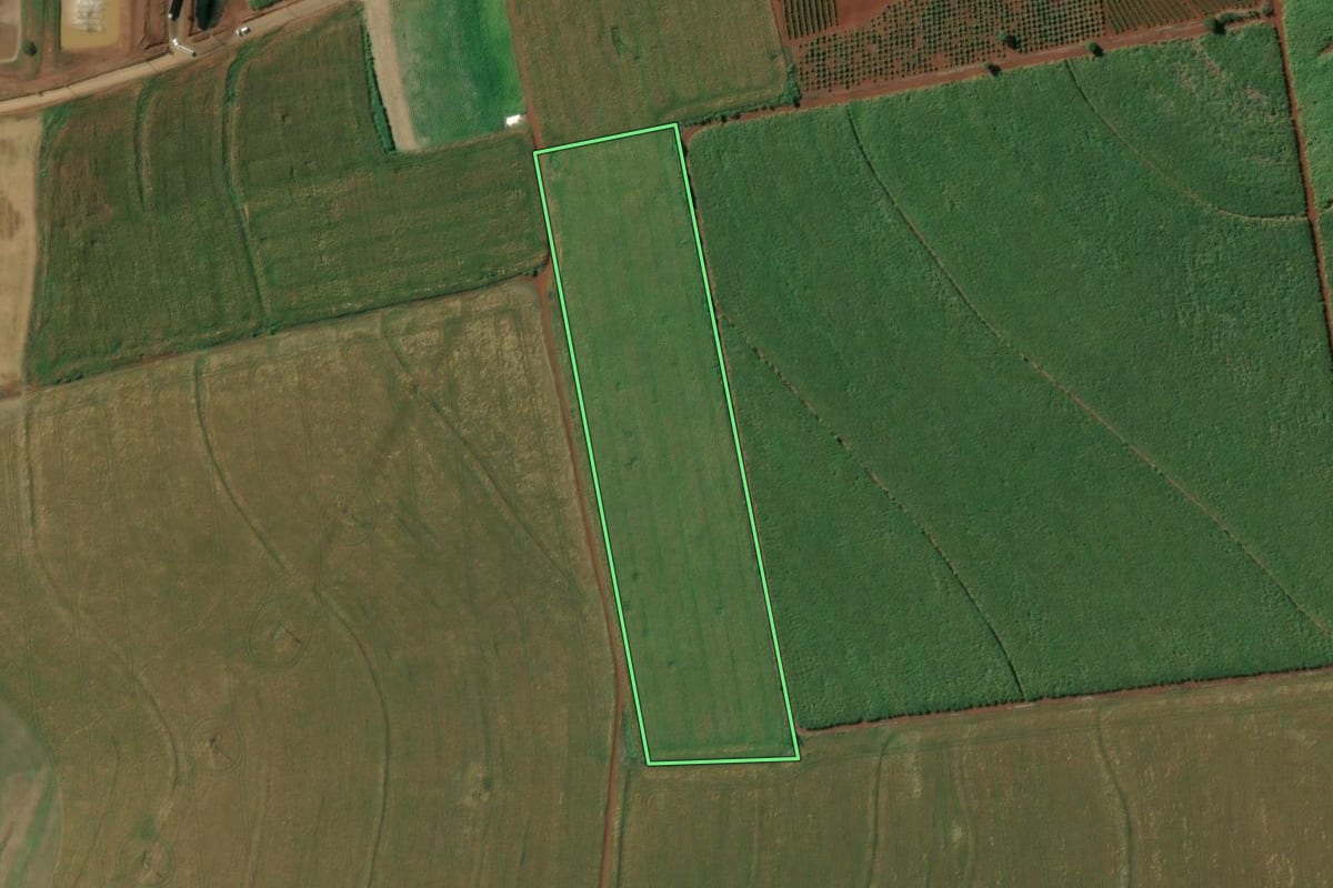 Imagem de satélite do imóvel rural em Manduri (SP), com o contorno declarado no CAR desenhado por cima.