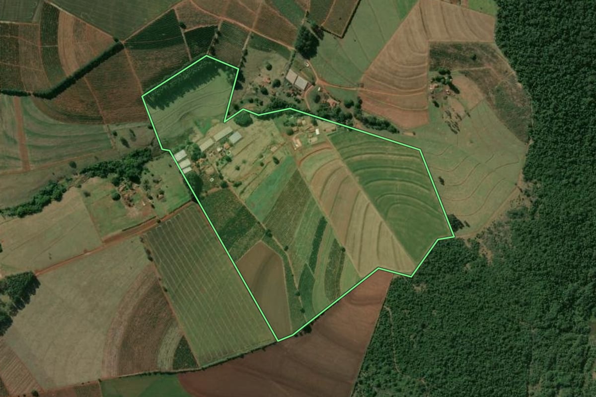 Imagem de satélite do imóvel rural em Manduri (SP), com o contorno declarado no CAR desenhado por cima.