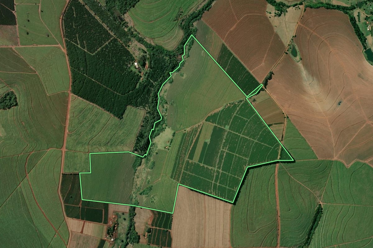 Imagem de satélite do imóvel rural em Manduri (SP), com o contorno declarado no CAR desenhado por cima.