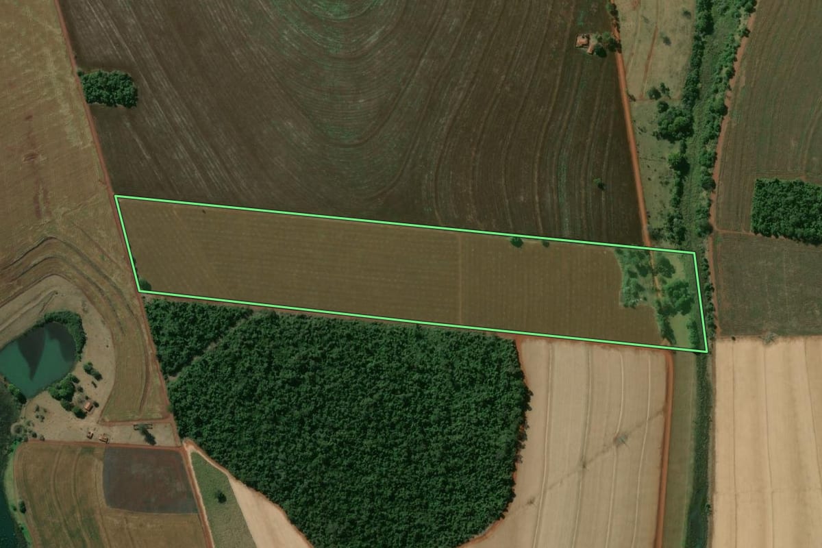 Imagem de satélite do imóvel rural em Manduri (SP), com o contorno declarado no CAR desenhado por cima.