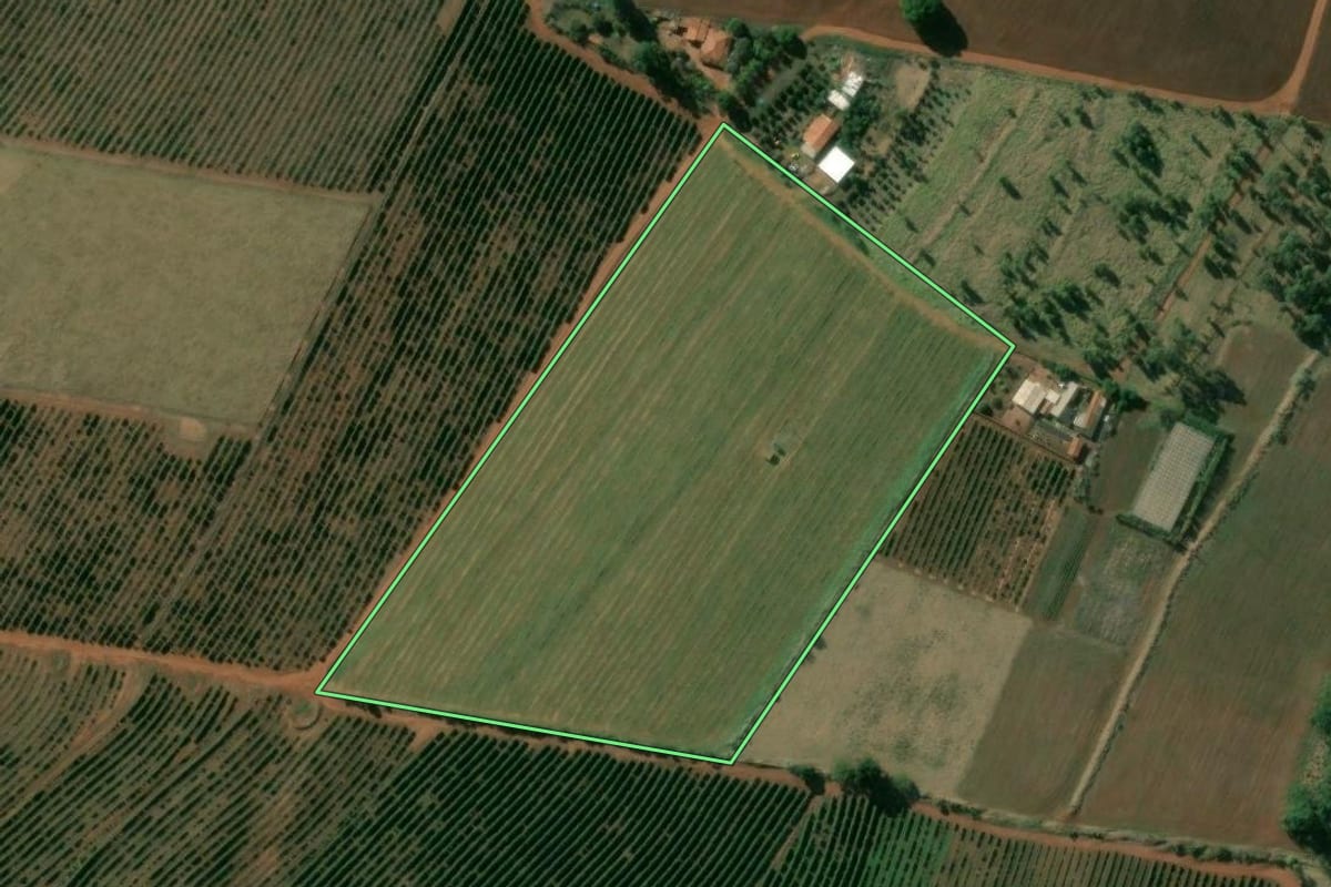 Imagem de satélite do imóvel rural em Manduri (SP), com o contorno declarado no CAR desenhado por cima.