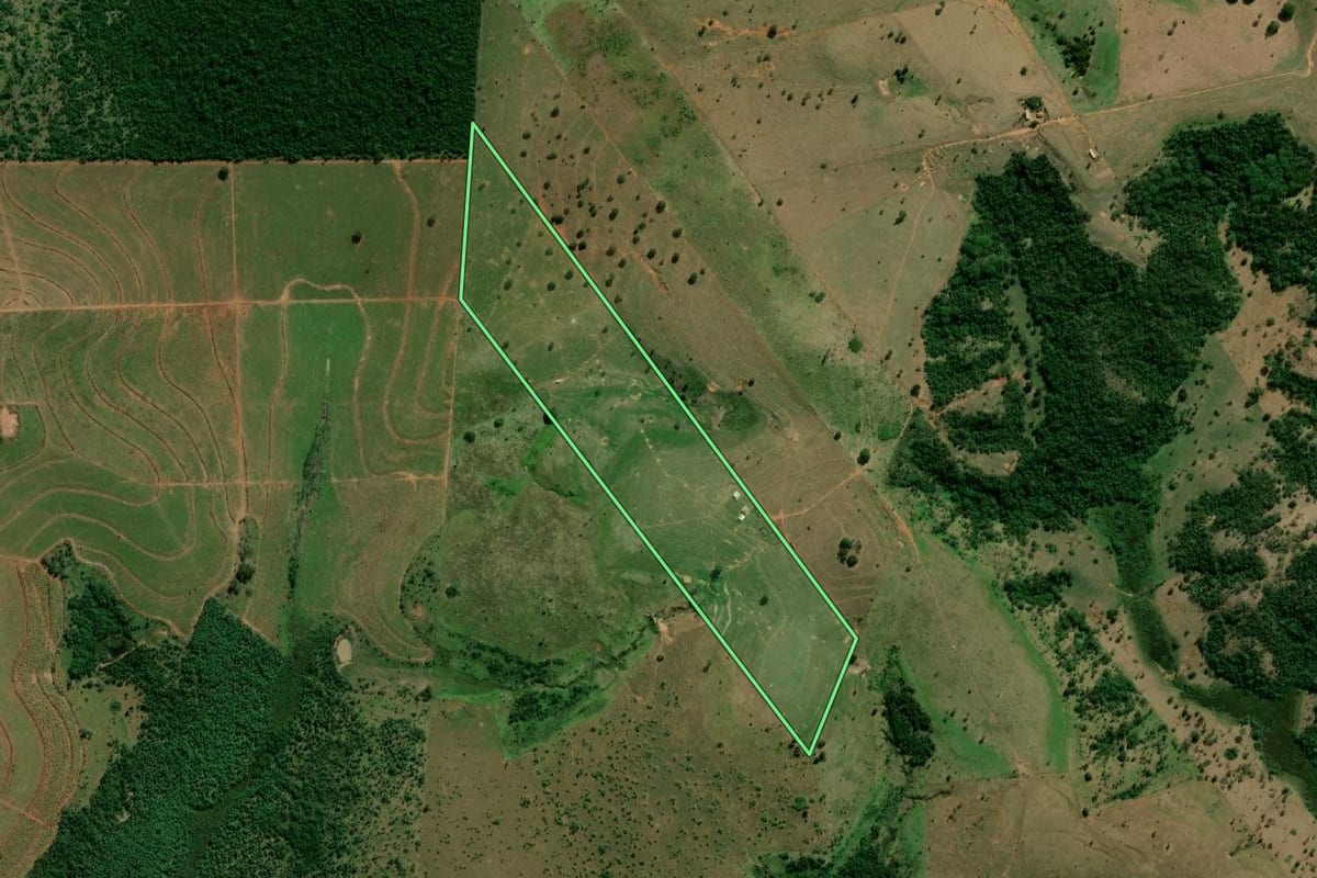 Imagem de satélite do imóvel rural em Marabá Paulista (SP), com o contorno declarado no CAR desenhado por cima.
