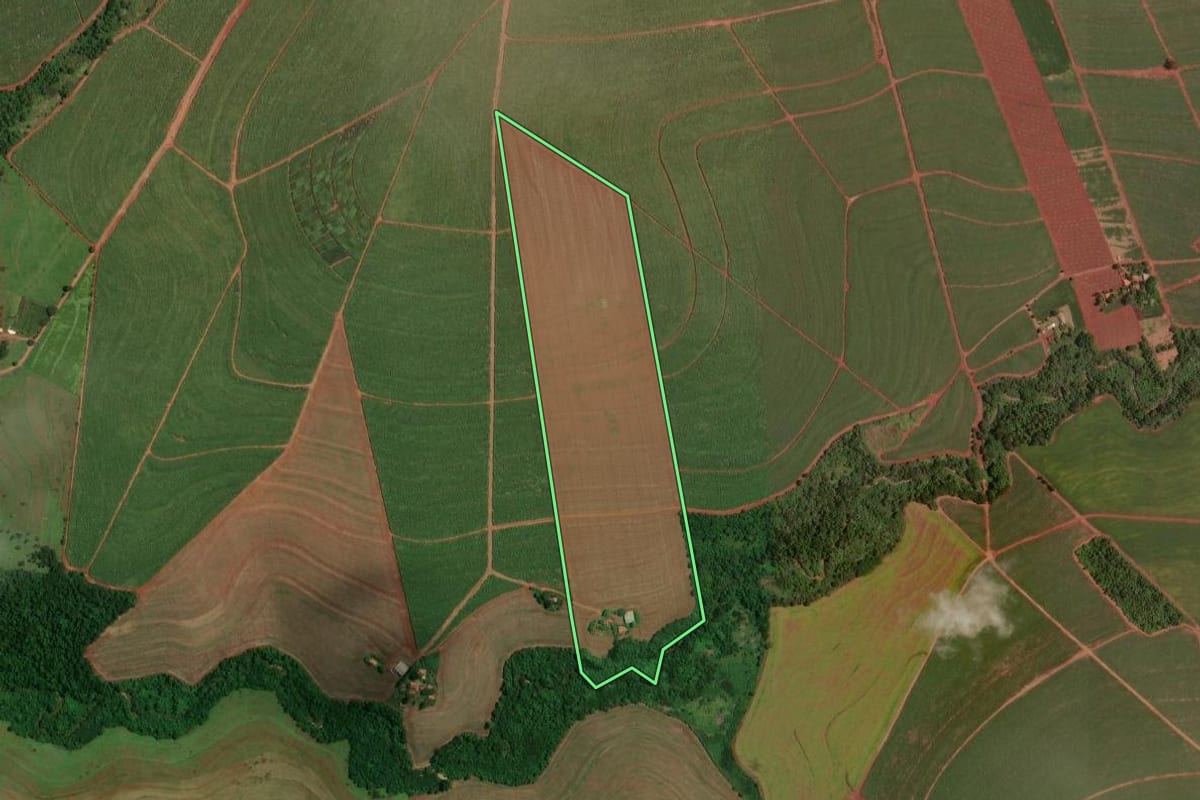 Imagem de satélite do imóvel rural em Maracaí (SP), com o contorno declarado no CAR desenhado por cima.