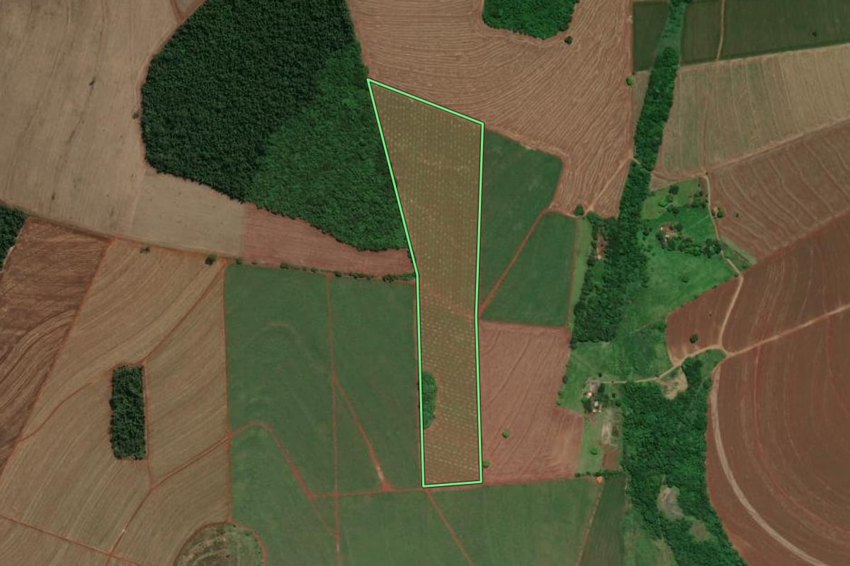 Imagem de satélite do imóvel rural em Maracaí (SP), com o contorno declarado no CAR desenhado por cima.