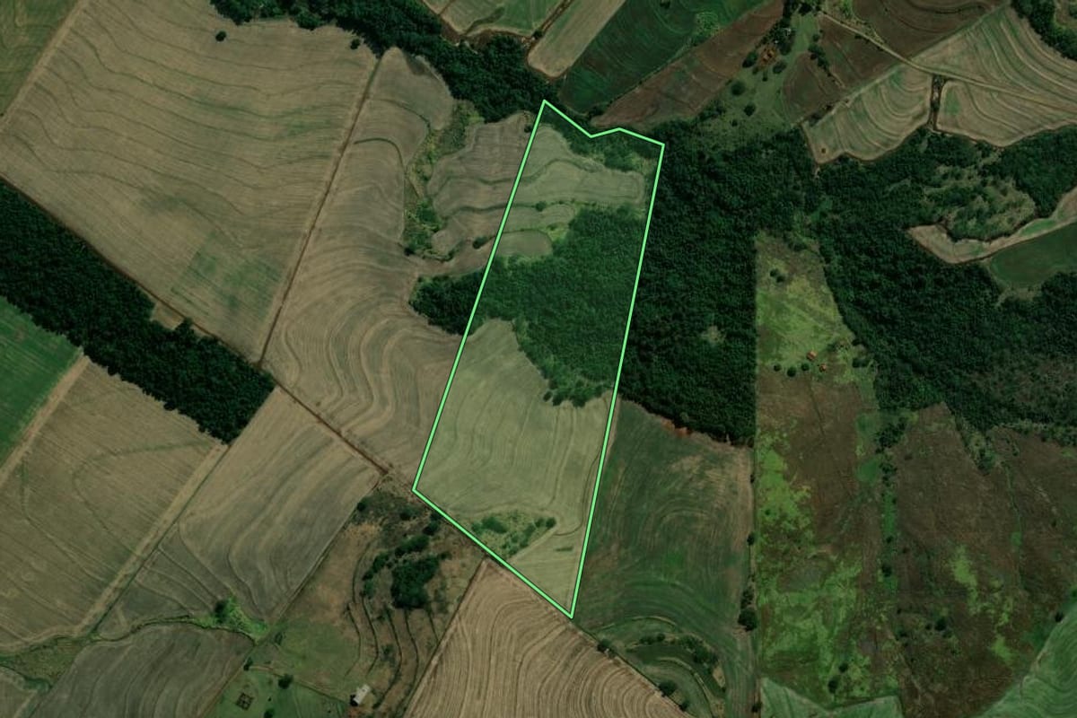 Imagem de satélite do imóvel rural em Maracaí (SP), com o contorno declarado no CAR desenhado por cima.