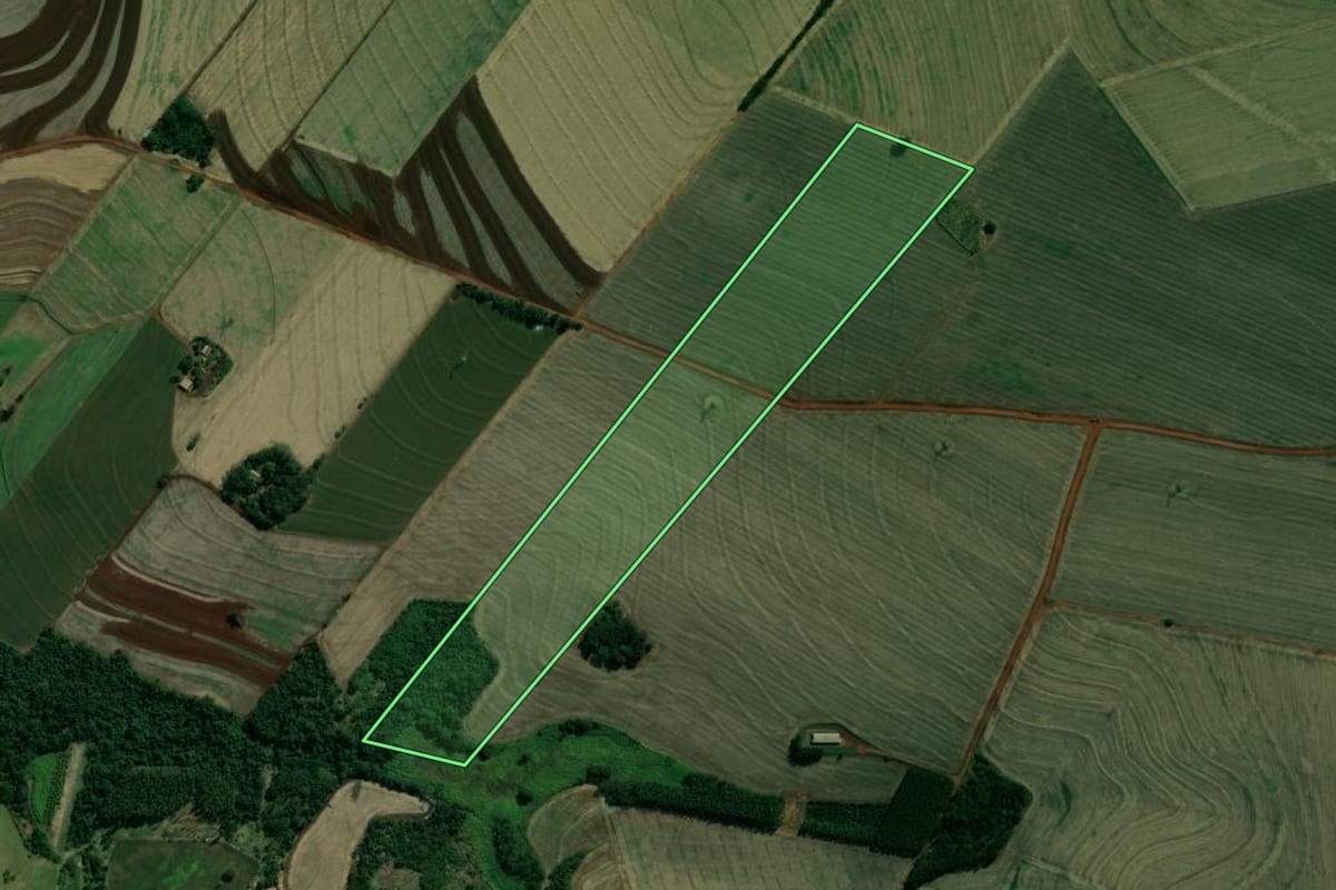 Imagem de satélite do imóvel rural em Maracaí (SP), com o contorno declarado no CAR desenhado por cima.