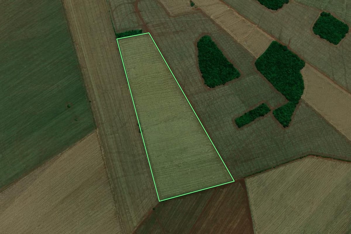Imagem de satélite do imóvel rural em Maracaí (SP), com o contorno declarado no CAR desenhado por cima.