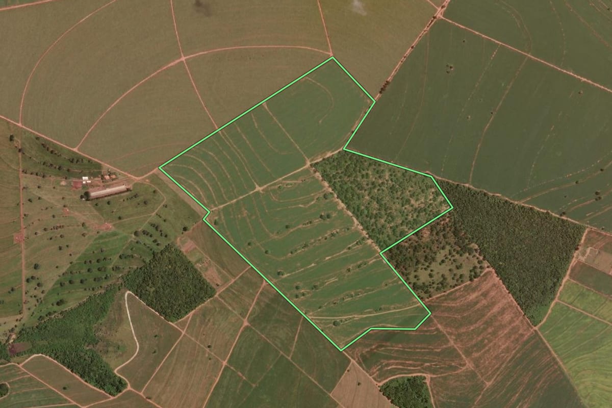 Imagem de satélite do imóvel rural em Maracaí (SP), com o contorno declarado no CAR desenhado por cima.
