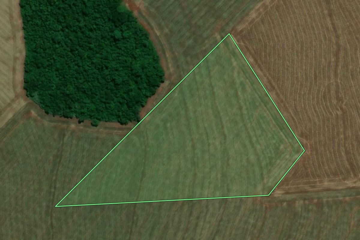Imagem de satélite do imóvel rural em Maracaí (SP), com o contorno declarado no CAR desenhado por cima.