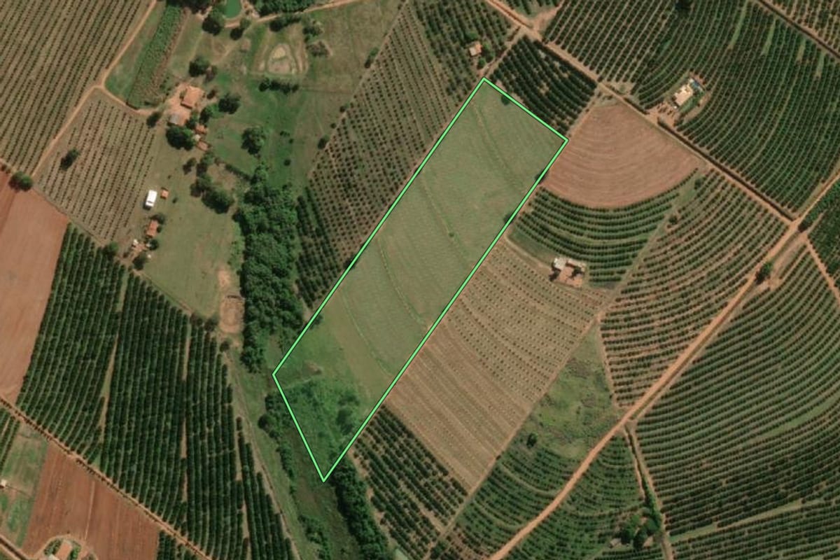 Imagem de satélite do imóvel rural em Marapoama (SP), com o contorno declarado no CAR desenhado por cima.