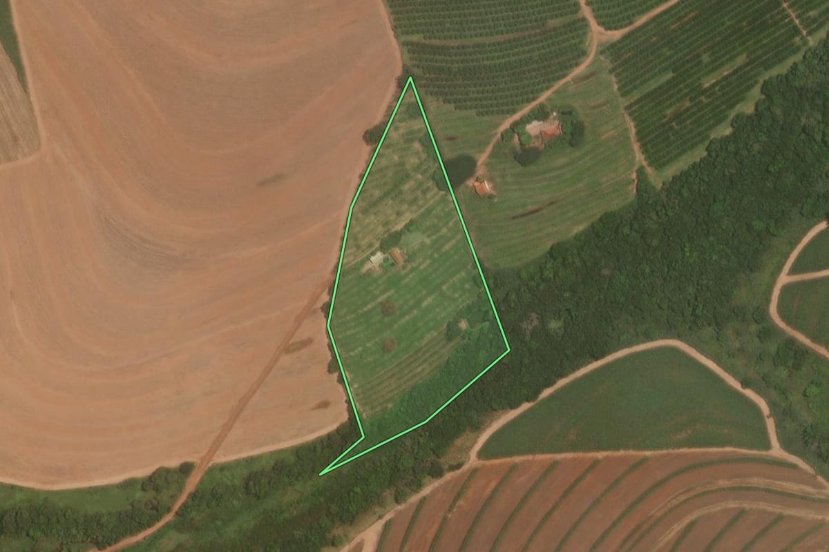 Imagem de satélite do imóvel rural em Marapoama (SP), com o contorno declarado no CAR desenhado por cima.